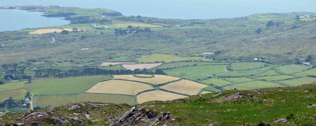 Hillside Walks
