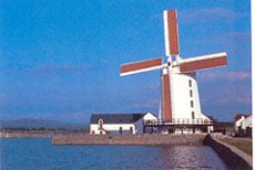 Tralee Farmers Market