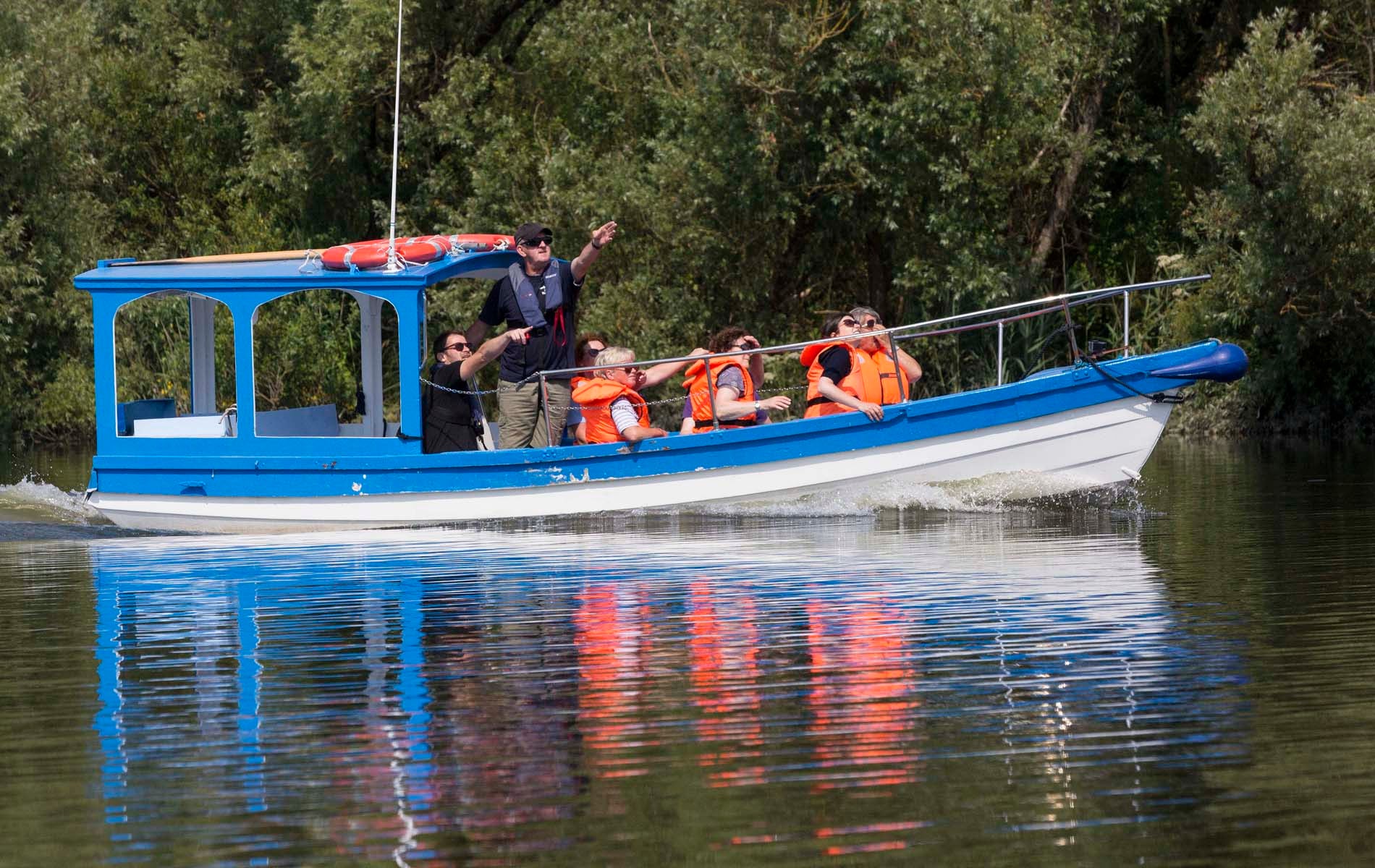 People enjoying a boat tour with Blackwater Eco Tours