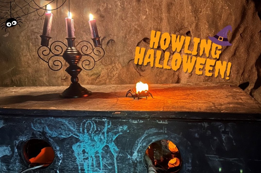 Howling Halloween at Brigit's Garden