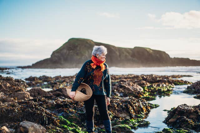 The Sea Gardener