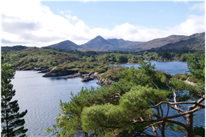 Wild Way Tours in west Cork