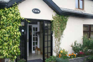 Cara House
