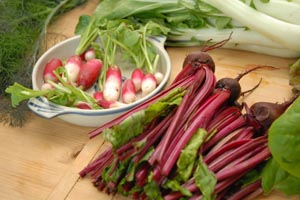 Image of organic radishes, rhubarb and bok choy