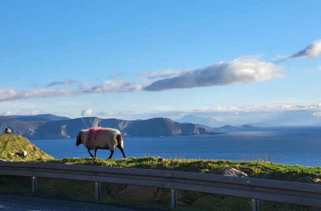 Keogh Tours Ireland