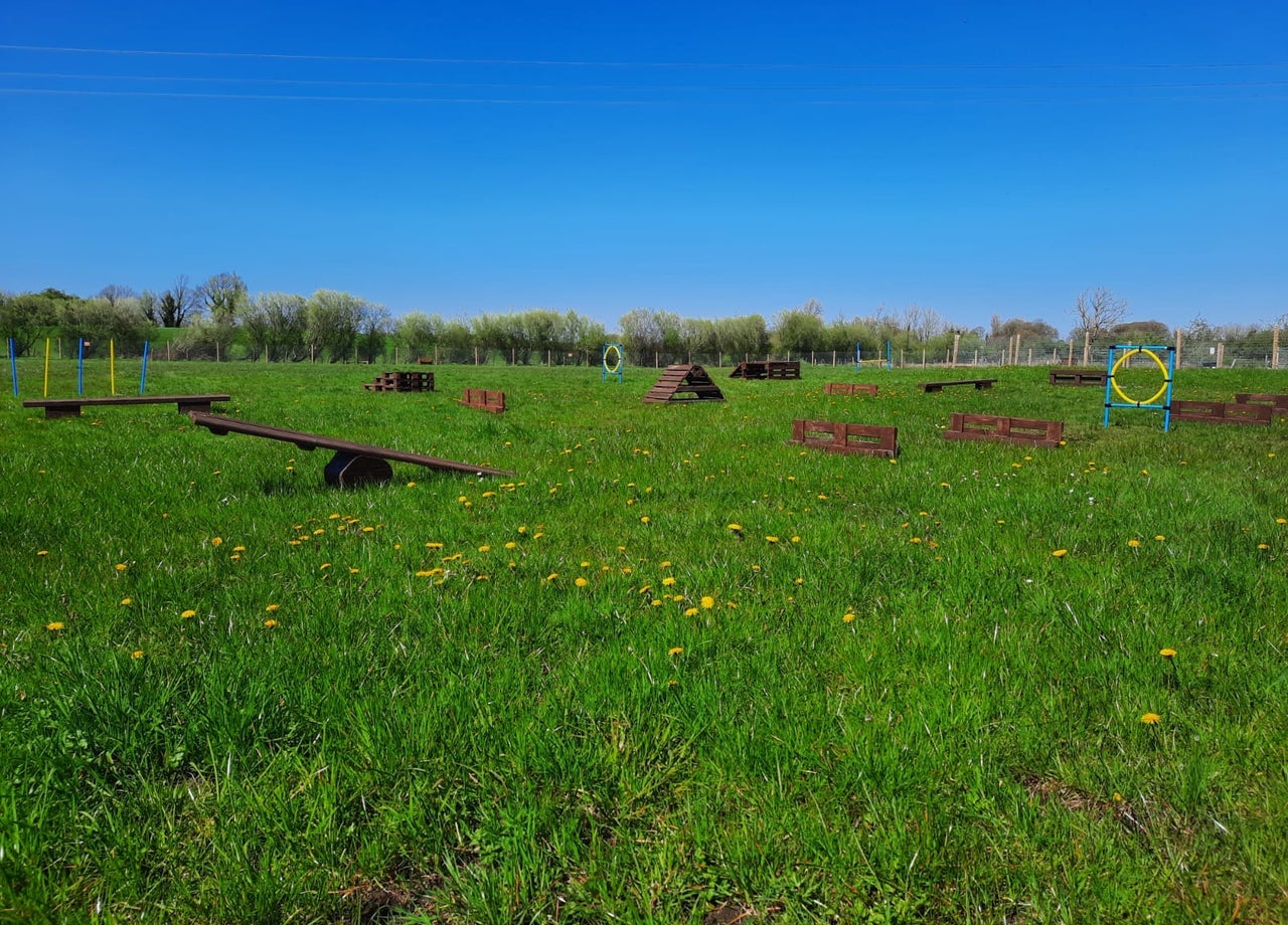 A park with wooden obstacles for dogs
