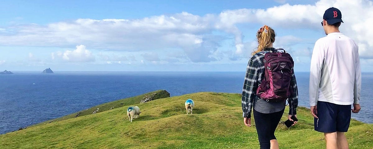 Beyond the Glass Six Day Adventurer Tour walkers on a hilltop with sheep and a view of the Skellig Islands