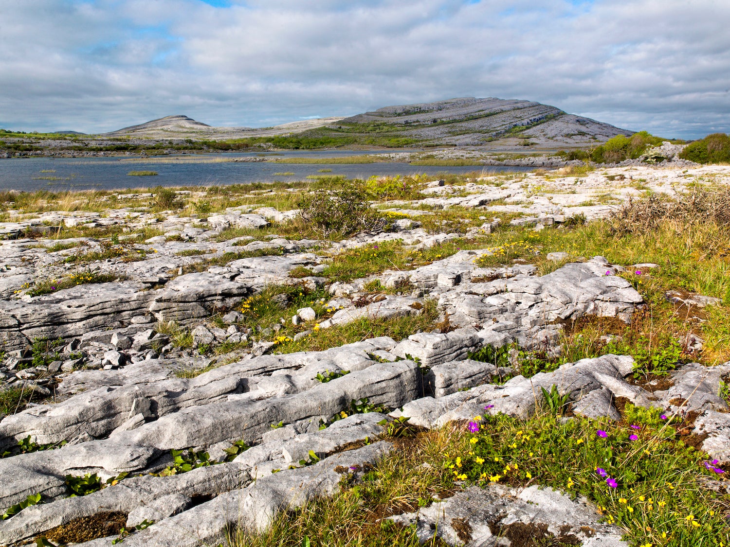 The Burren, County Clare