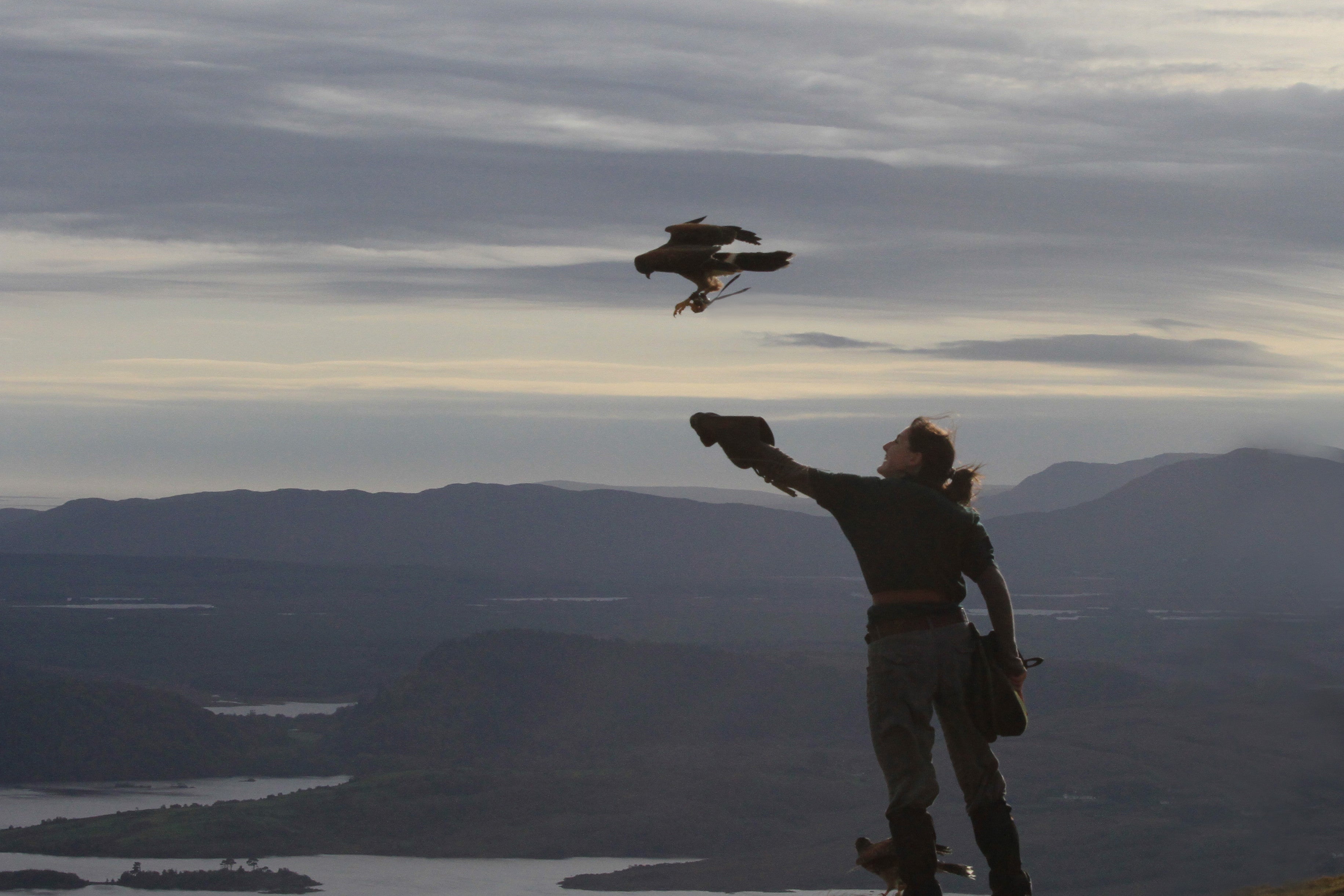 Visit Ireland's School of Falconry with Discover Ireland