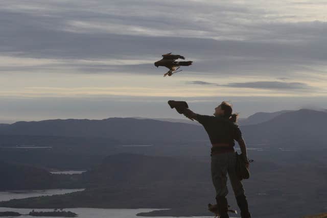 Ireland's School of Falconry