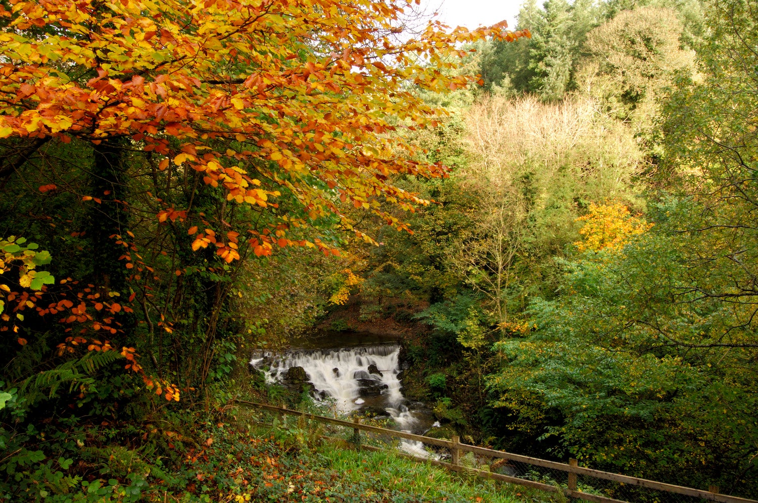 Dún na Rí Forest Park in County Cavan