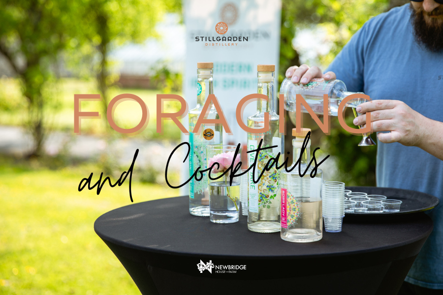 Exciting natural ingredients on your doorstep are waiting to be discovered, with the help of Stillgardens’ expert gardener and forager. This fully guided experience will show you how to identify new and unusual botanical