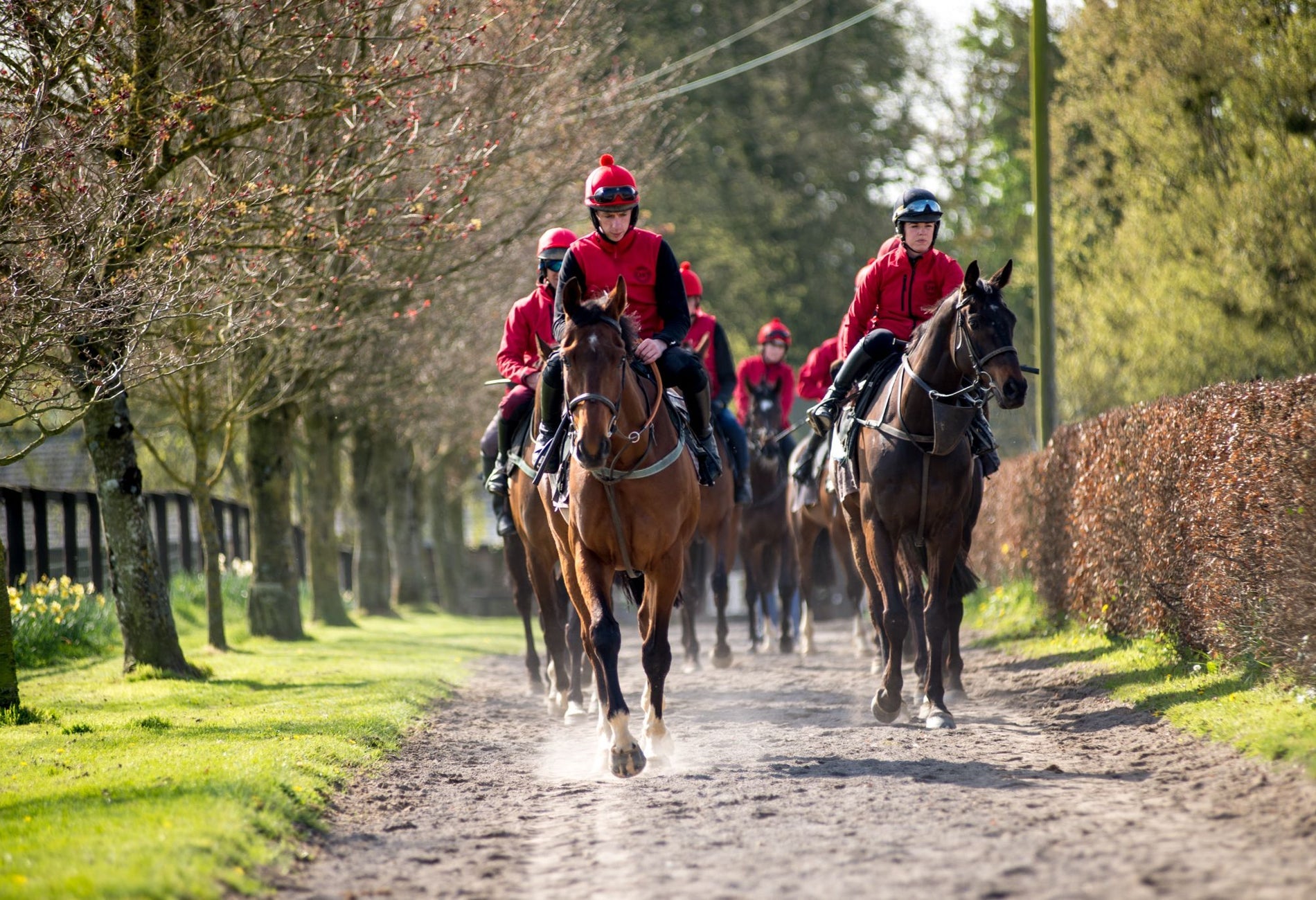 A group of jockeys racing along a track