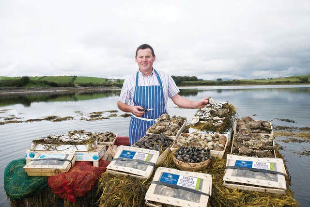 Croagh Patrick Seafoods & Tours