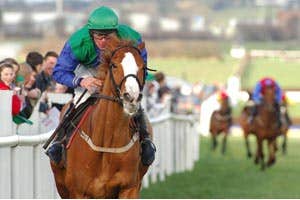 Naas Racecourse