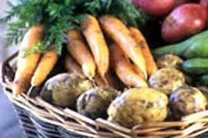 Ennis Farmers Market 