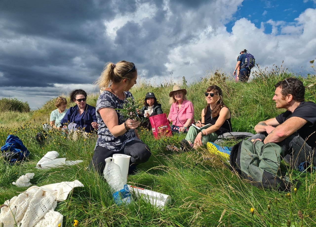 Group sitting on grass learning about foraging