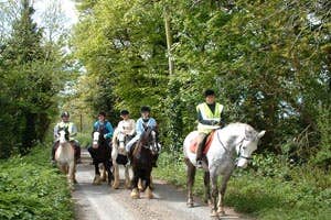 Roscommon Equestrian Centre