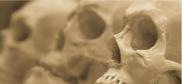 Children’s Event: Waterford’s Weird and Wicked Past
