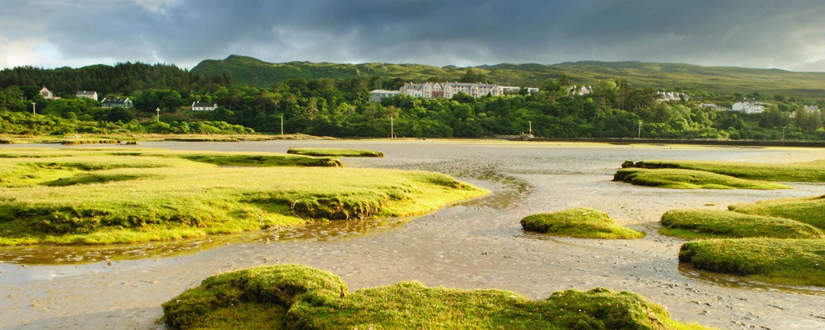 A view of a saltmarsh with green areas interspaced with wet ground
