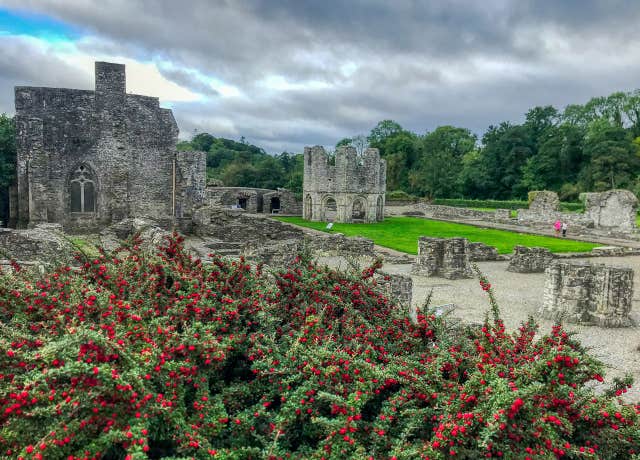 Old Mellifont Abbey
