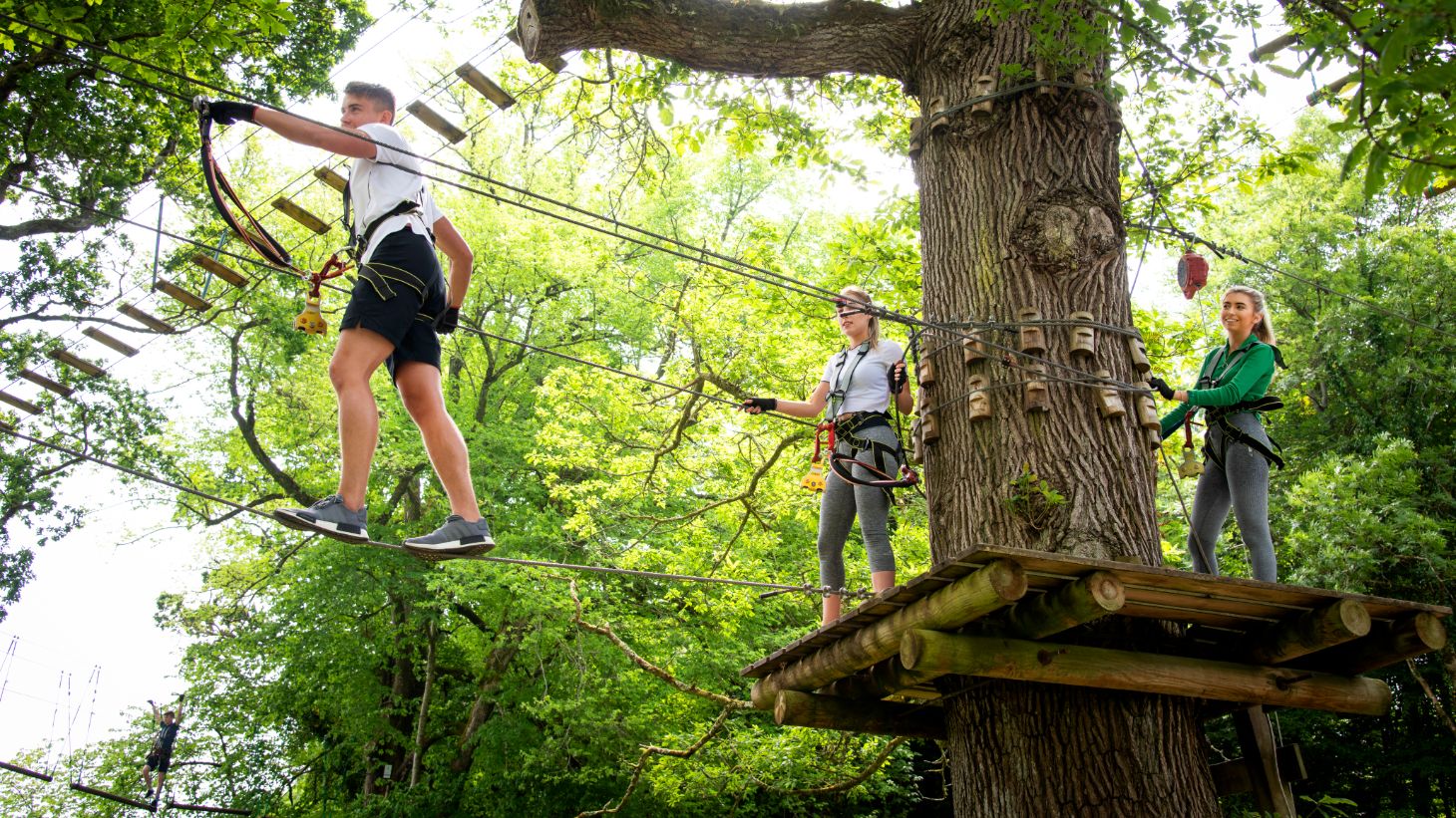 People wearing safety gear walking across ropes at Lough Key Forest and Activity Park, Roscommon