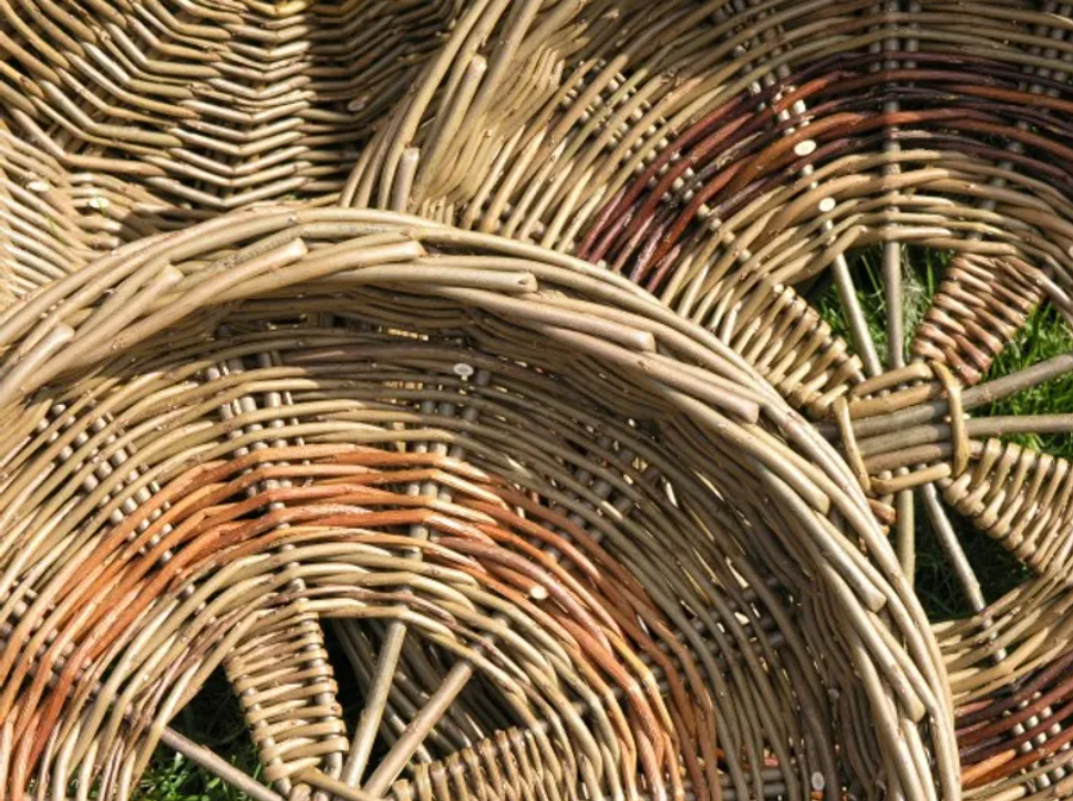 Ulster Potato Basket Class