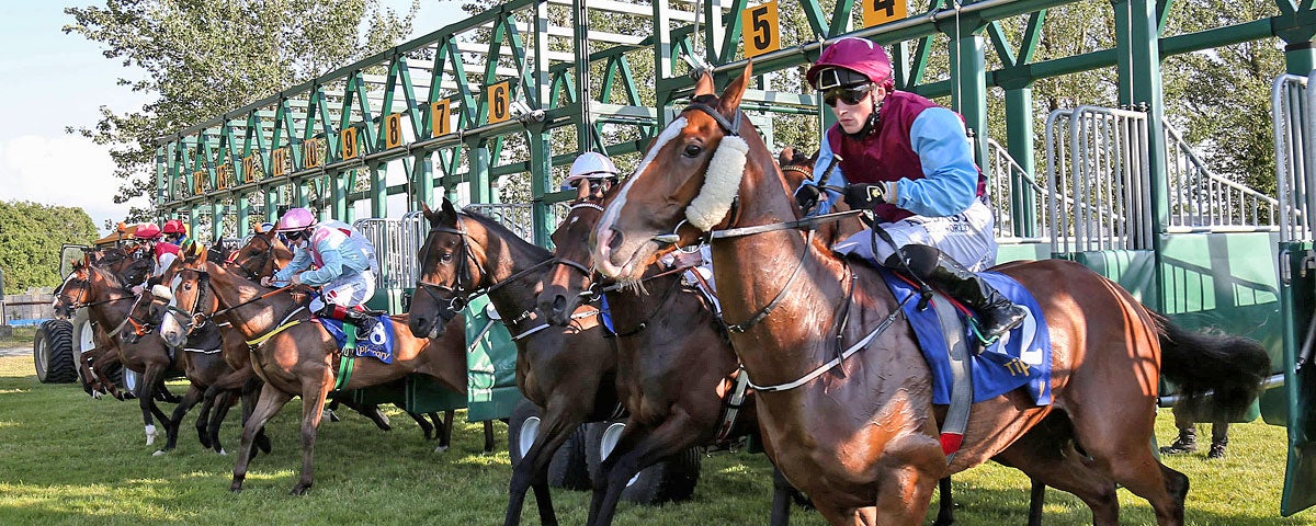 Tipperary Racecourse view of horses and jockeys ready to start the race