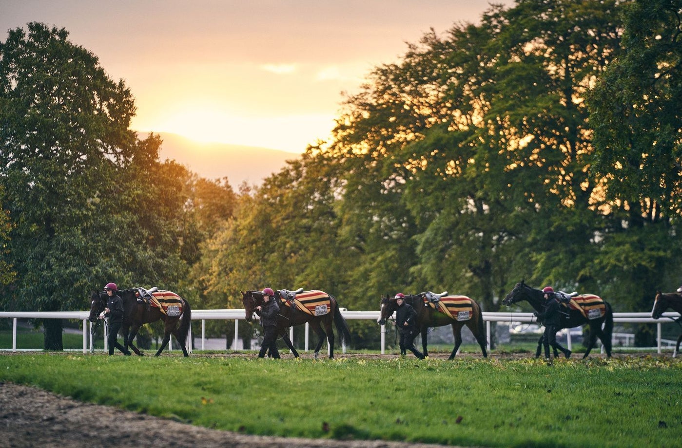 Horses with jockeys walking along side them holding their reins