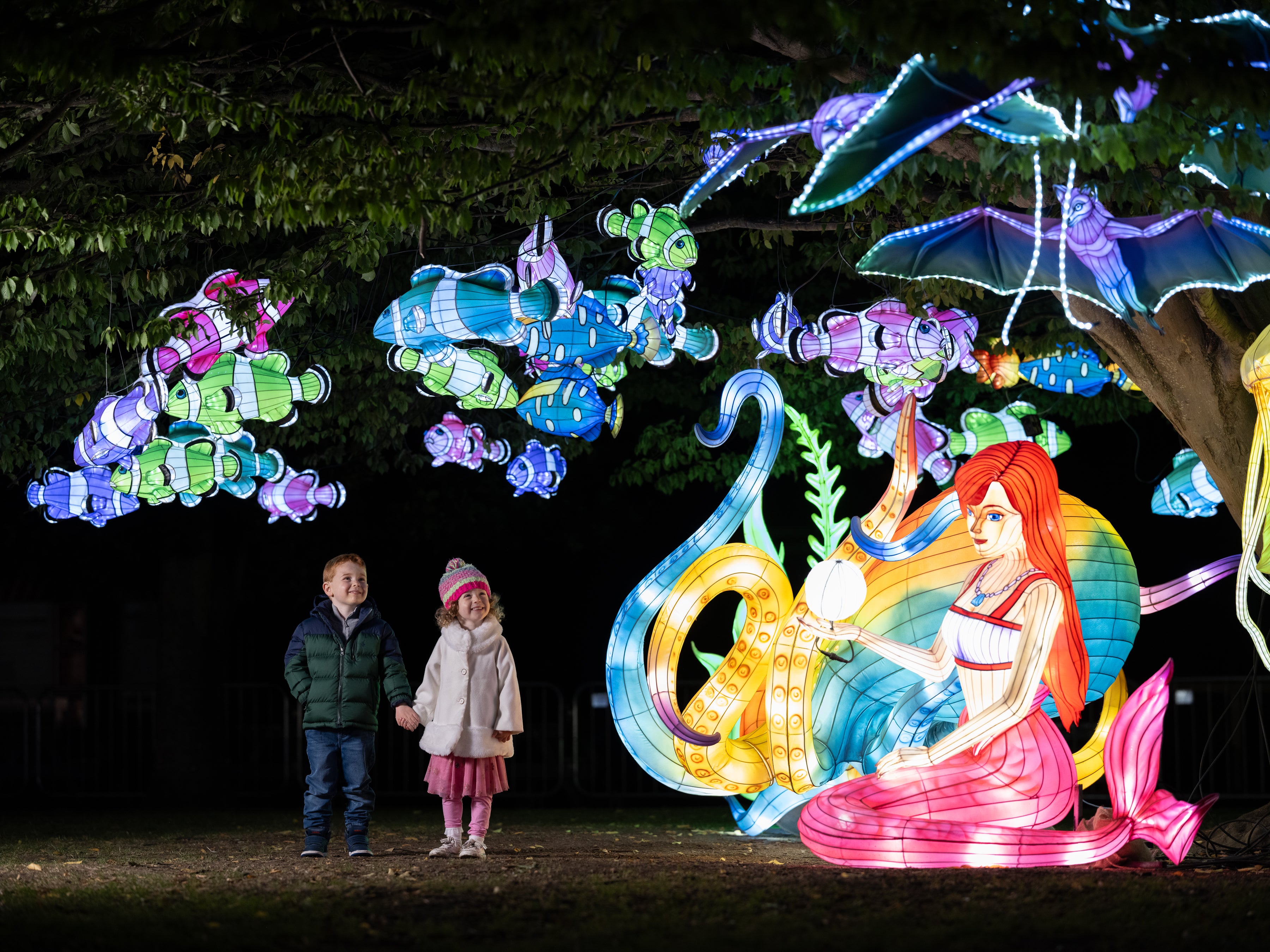 Wild Lights at Dublin Zoo