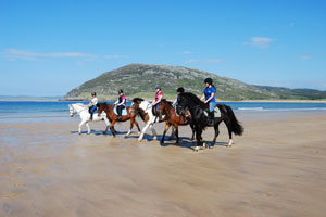 Tullagh Bay Equestrian