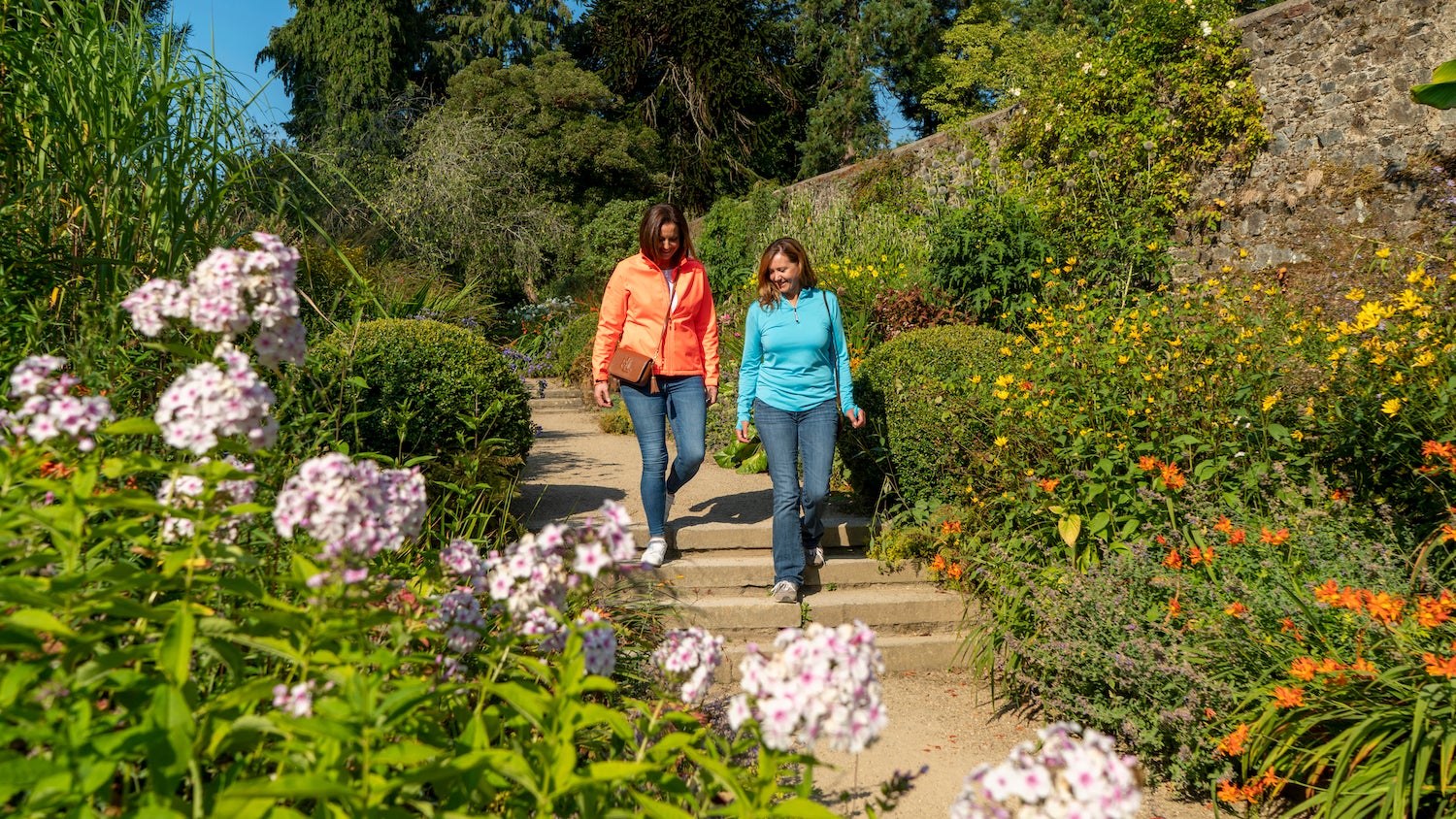 People walking through the National Botanic Gardens Kilmacurragh in Co Wicklow