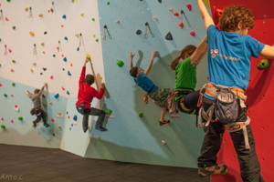 Awesome Walls Climbing Centre Dublin