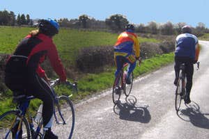 M Kavanagh Bicycle Hire