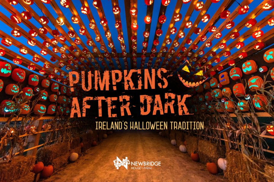 Pumpkins After Dark at Newbridge House and Farm - Ireland's Newest Halloween Experience