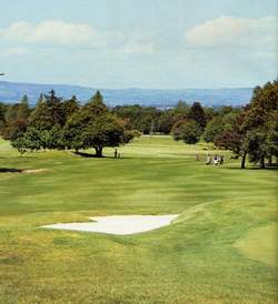 Visit Limerick Golf Club With Discover Ireland