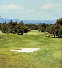 Limerick Golf Club