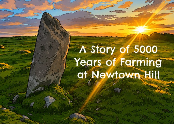 Newtown Hill Standing Stone with the rising sun bursting through clouds behind