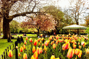 St. Stephen's Green