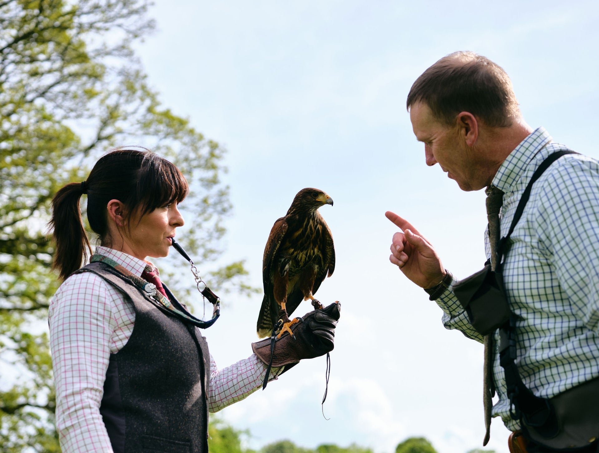 A Hawkeye Falconry handler appears to speak to his hawk while resting on the hand of another handler