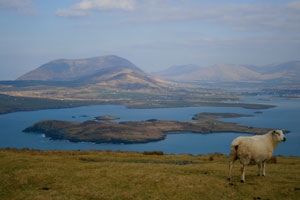 Visit Geokaun Mountain with Discover Ireland