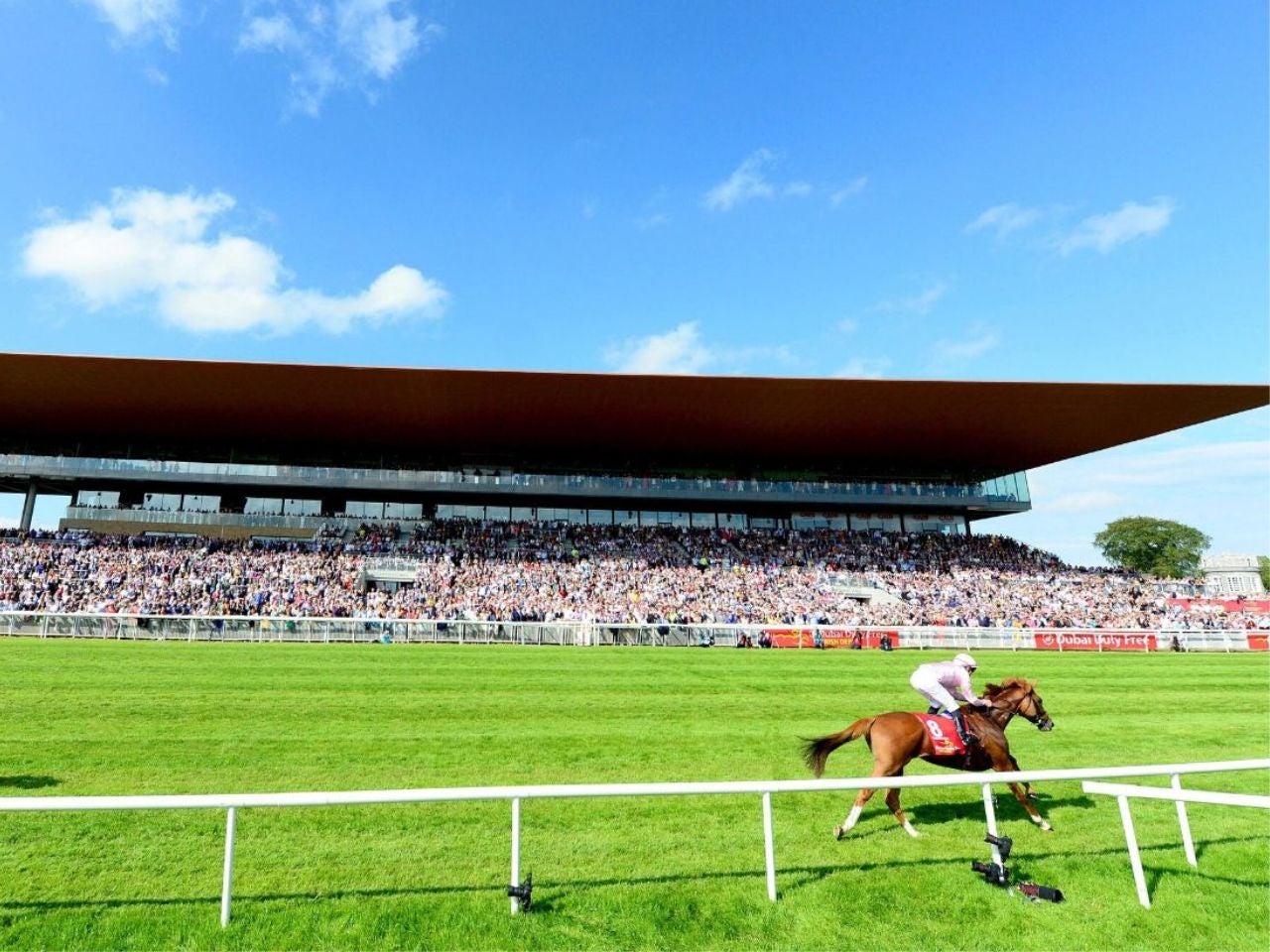A horse racing on a track