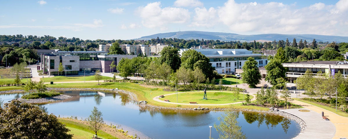 UCD