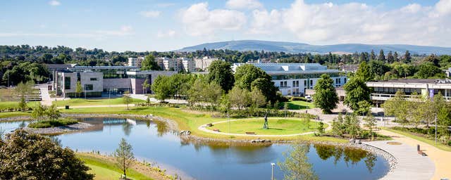 UCD