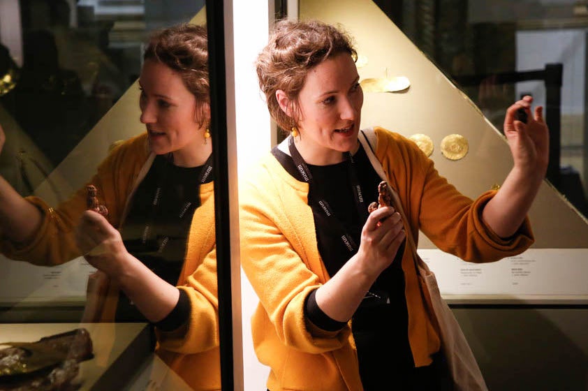 Guided tour at the National Museum of Ireland, Kildare St