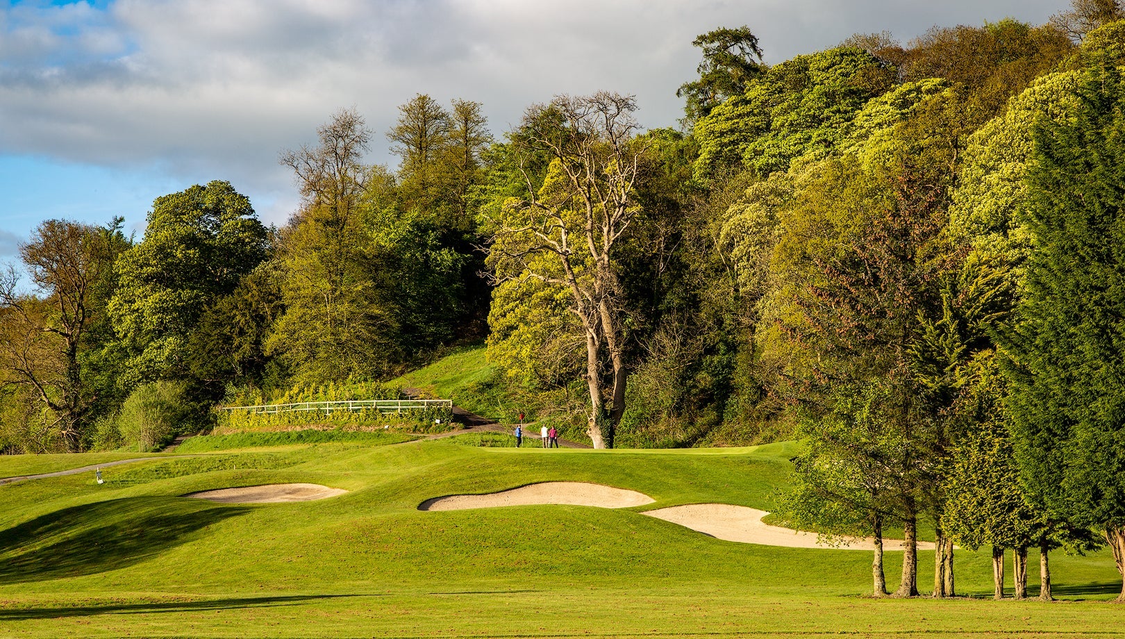 Golf course with sand dunes in middle foreground and golfers in the distance near high trees