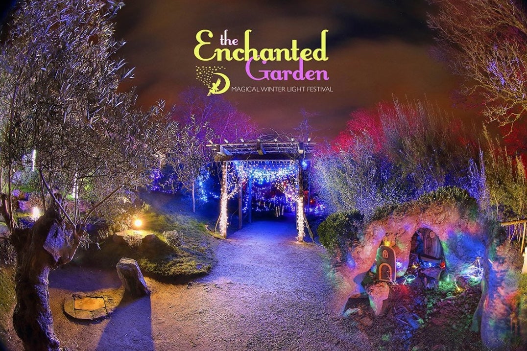 Enchanted garden winter light festival