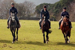 Brennanstown Riding School
