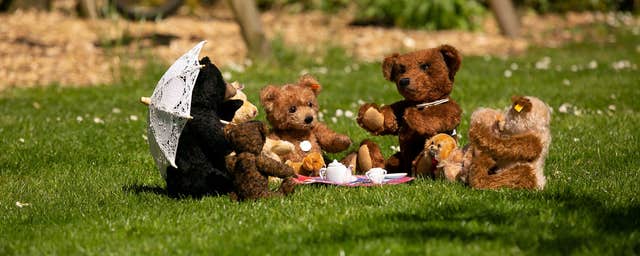 Bear Essentials