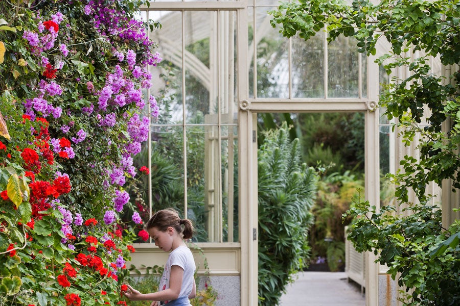 are dogs allowed in botanic gardens dublin